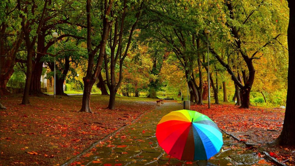 Colorful umbrella wallpaper