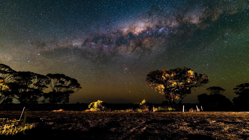 Night landscape under the Milky Way wallpaper