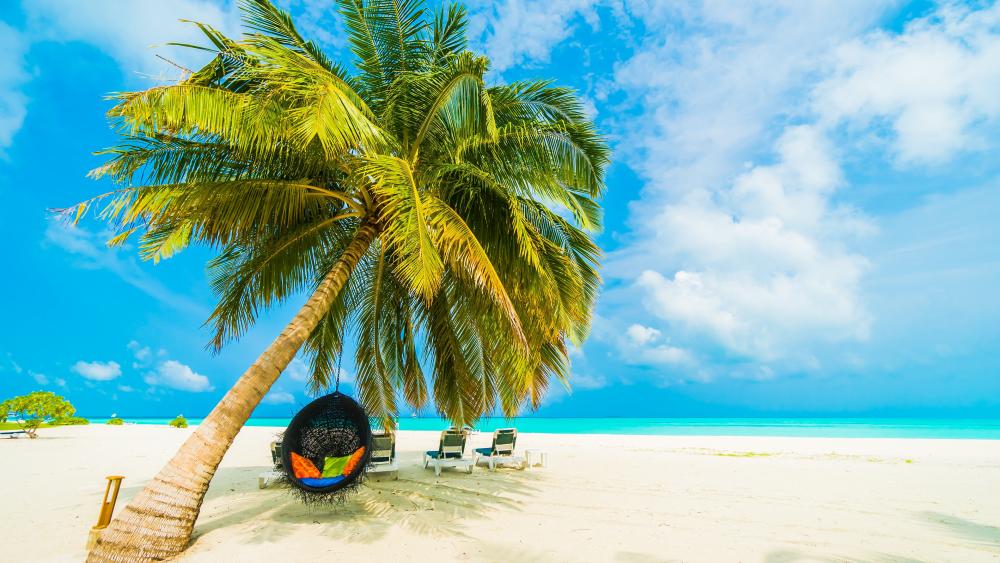 Tropical sandy beach in Maldives ? wallpaper
