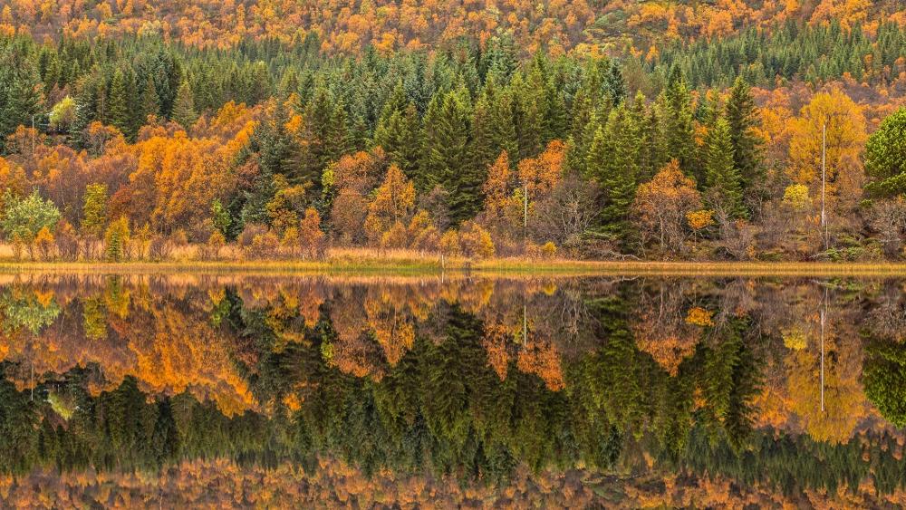 Autumn landscape reflection wallpaper