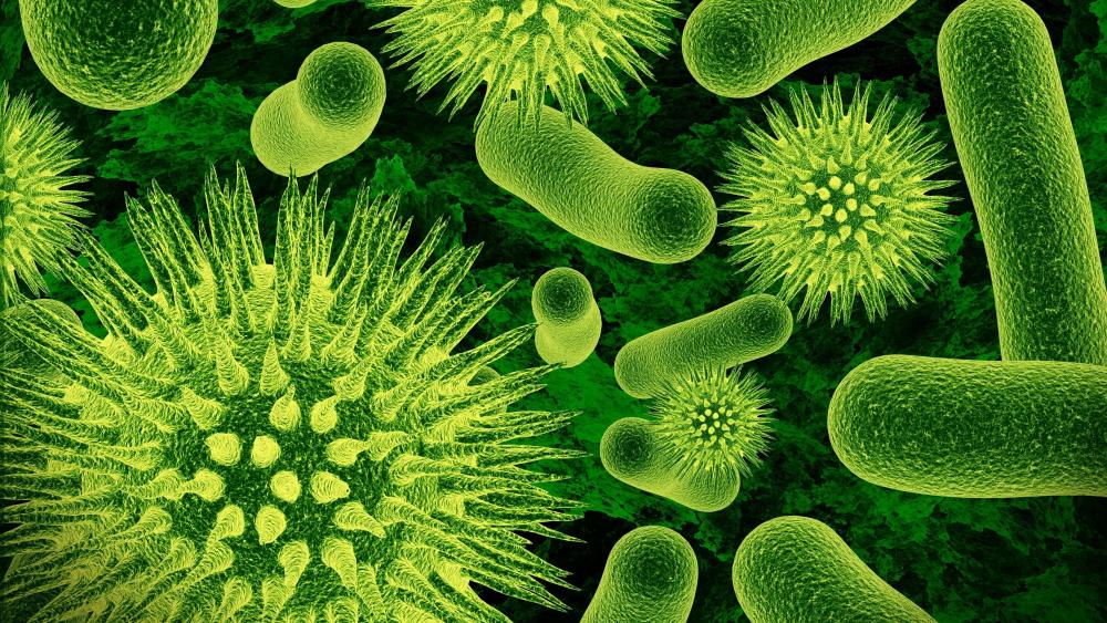 Bacteria and viruses wallpaper