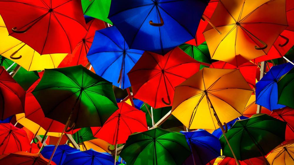 Umbrellas wallpaper