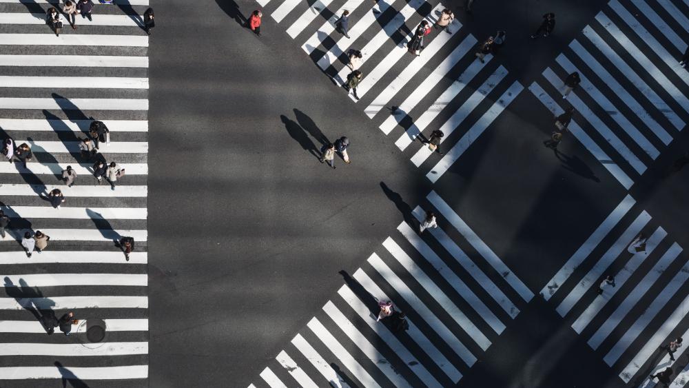 Crosswalk in Japan wallpaper