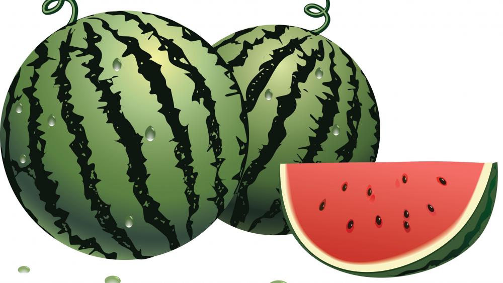Watermelon illustration wallpaper