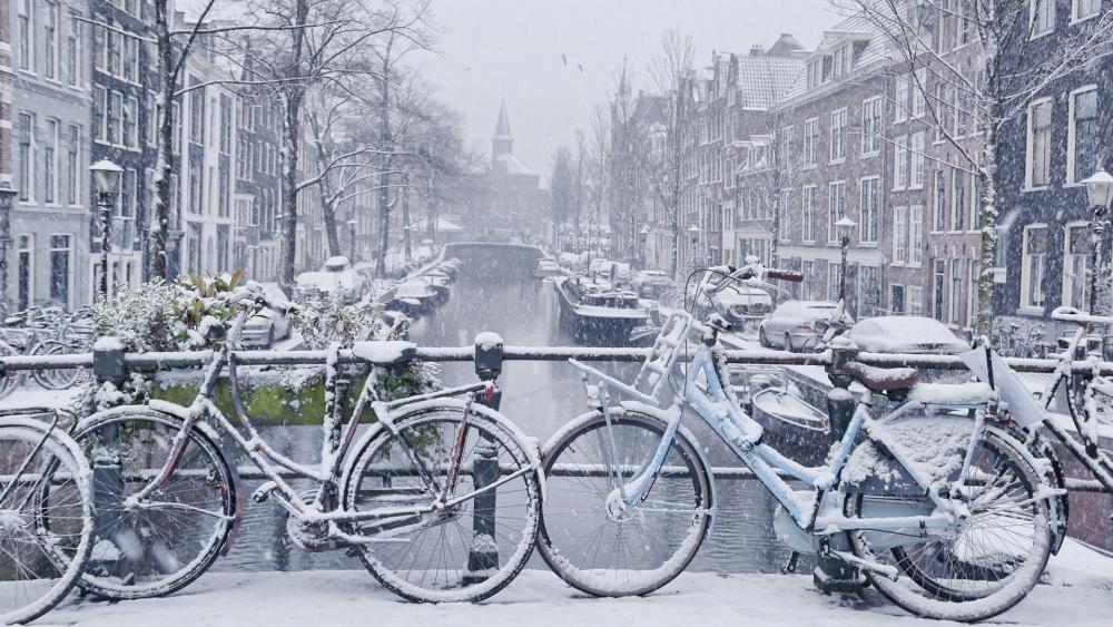 Snowy bikes in Amsterdam wallpaper