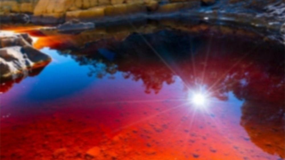 Sun in the Red Pond wallpaper