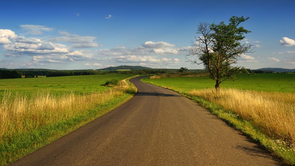Endless road with a lone tree wallpaper