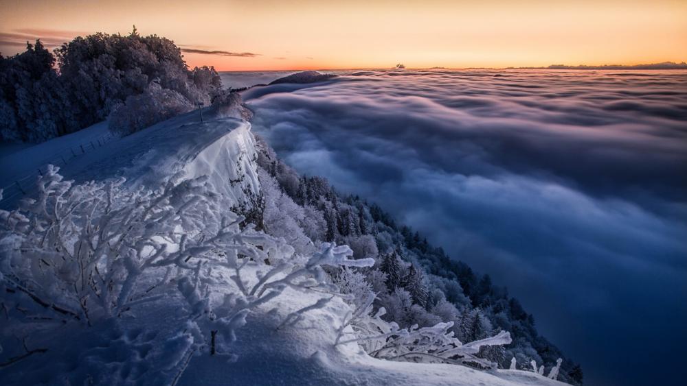Foggy winter landscape from the Jura Mountains wallpaper