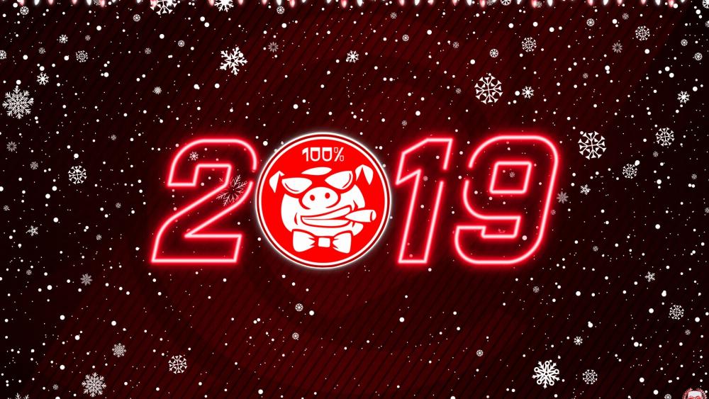 2019 Year Of Pig wallpaper