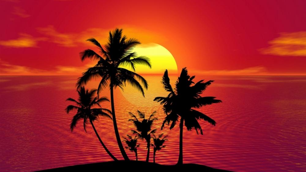 Tropical island silhouette in the sunset wallpaper