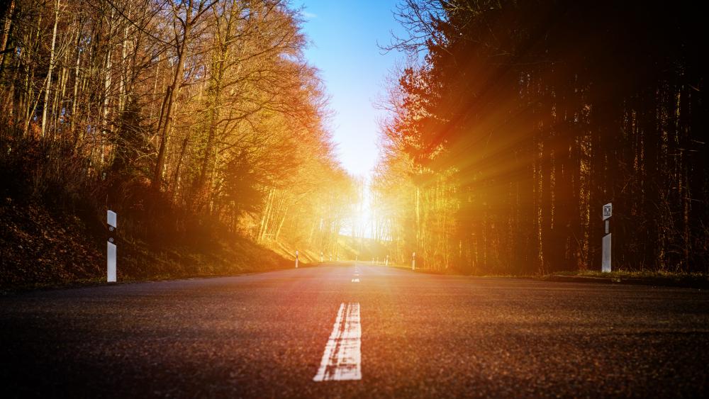Road in the rays of light wallpaper