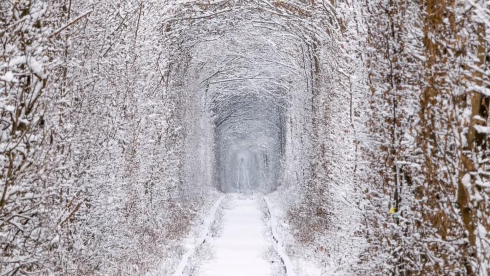 Tunnel of Love at wintertime (Ukraine) wallpaper