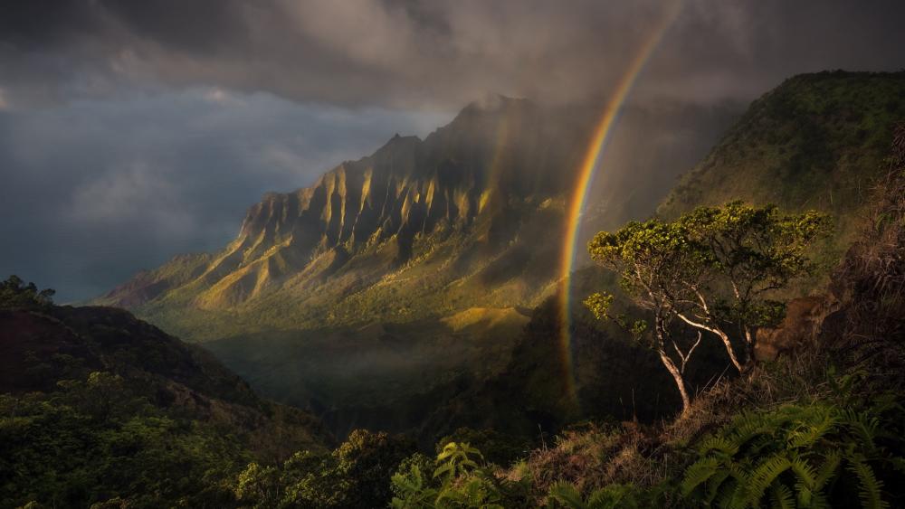 Rainbow at Kalalau Valley (Hawaii) wallpaper