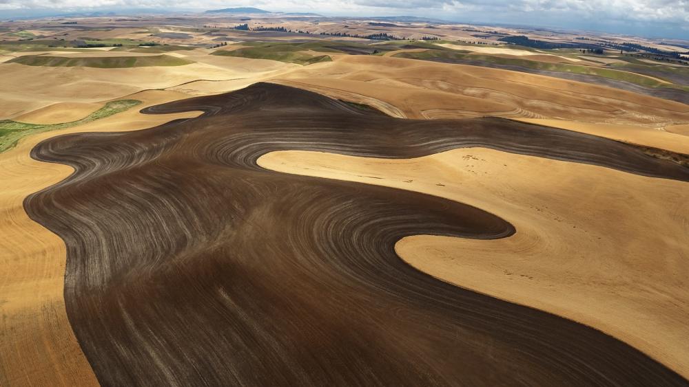 Palouse hills aerial photography wallpaper