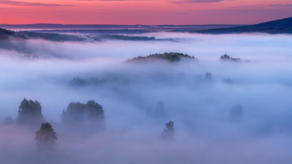 Fog in the Southern Urals wallpaper