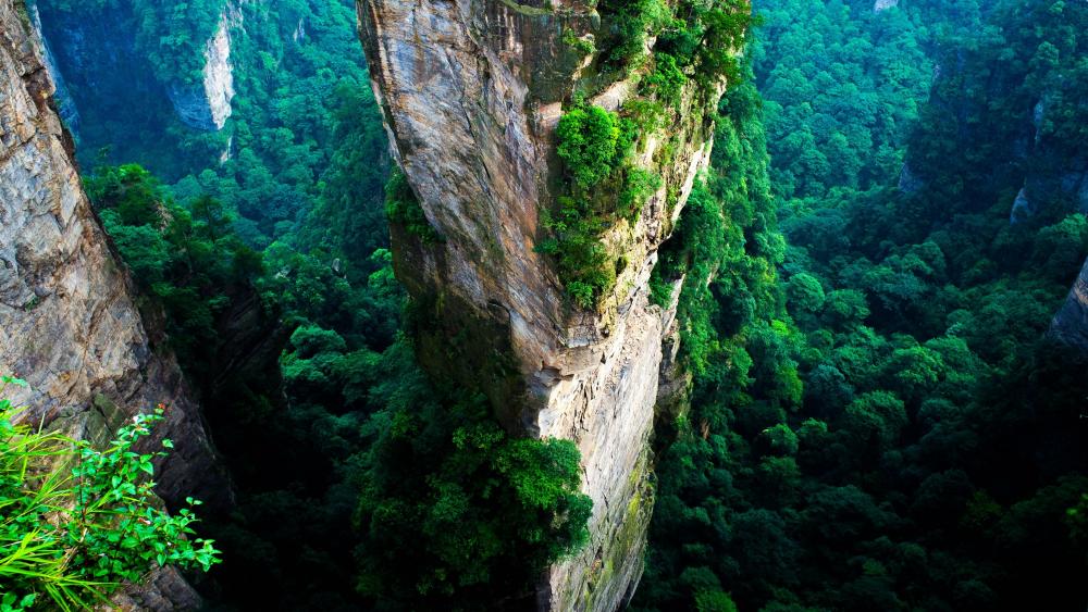 Avatar Hallelujah Mountain (Zhangjiajie Stone Forest) wallpaper
