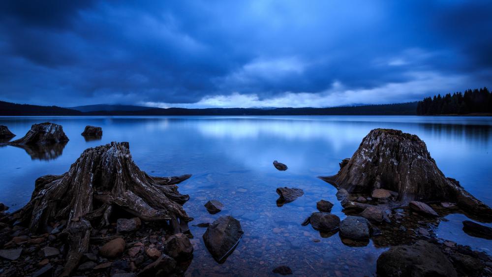 Timothy Lake in blue hour wallpaper