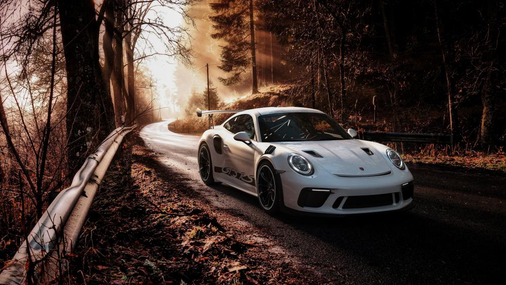 Majestic Porsche 911 on Serpentine Road wallpaper