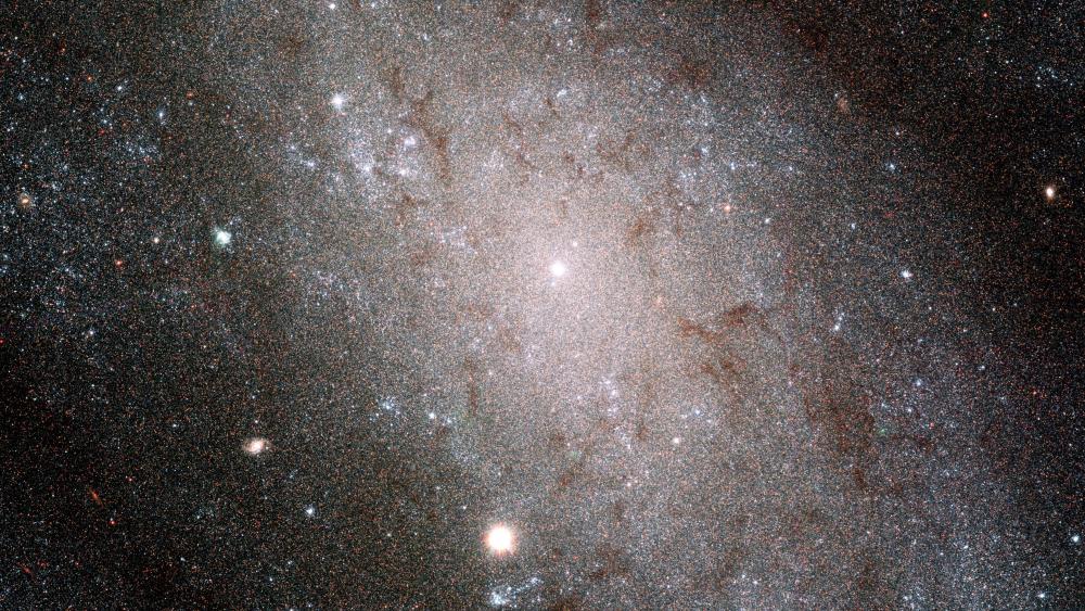 Myriad of Stars in Spiral Galaxy NGC 300 wallpaper