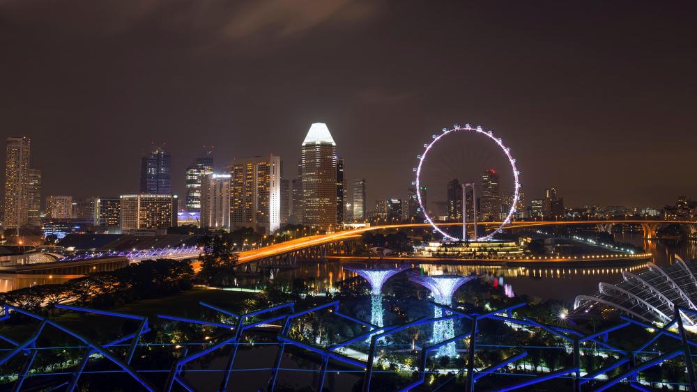 Gardens by the Bay & the Singapore Flyer wallpaper