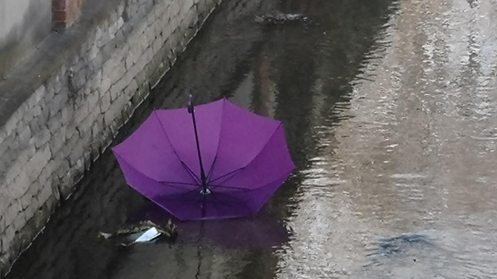 Purple umbrella wallpaper