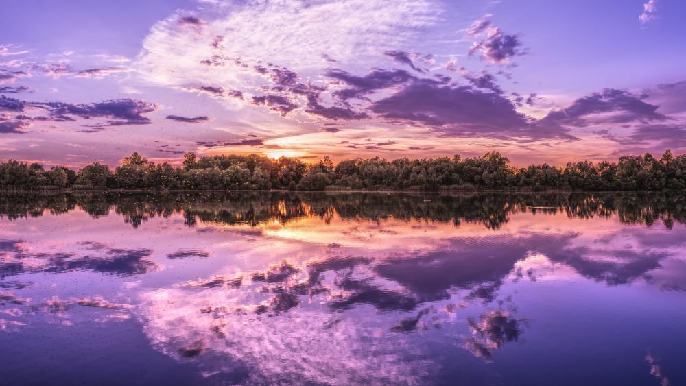 Purple sunset reflection wallpaper