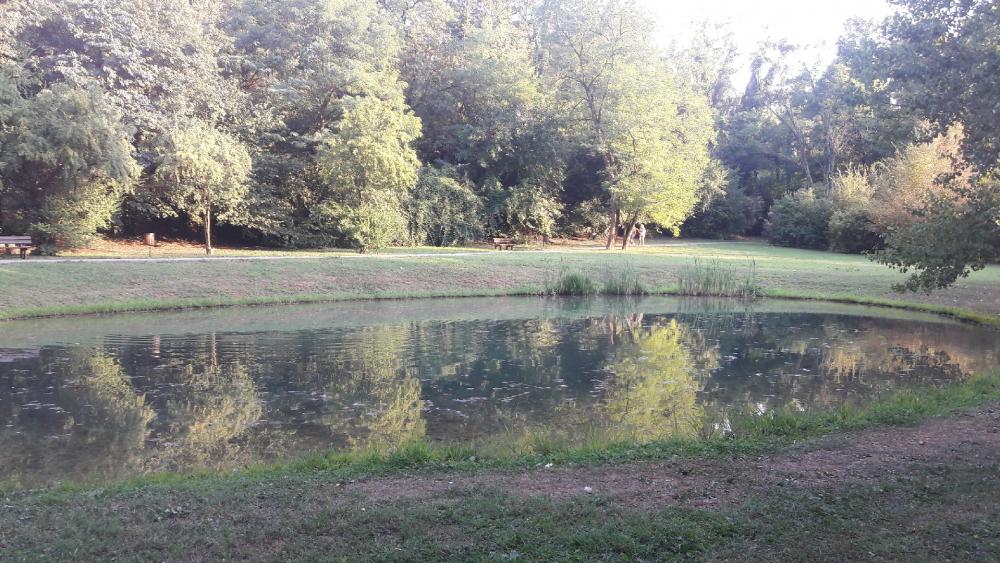 Tranquil Reflections in Nature's Embrace wallpaper