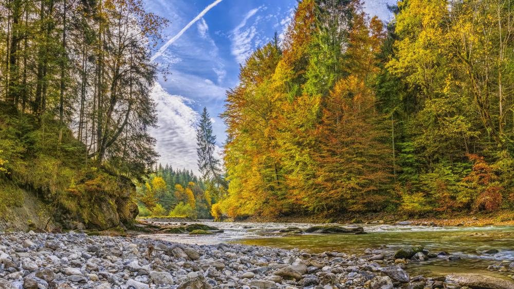 River in autumn forest wallpaper