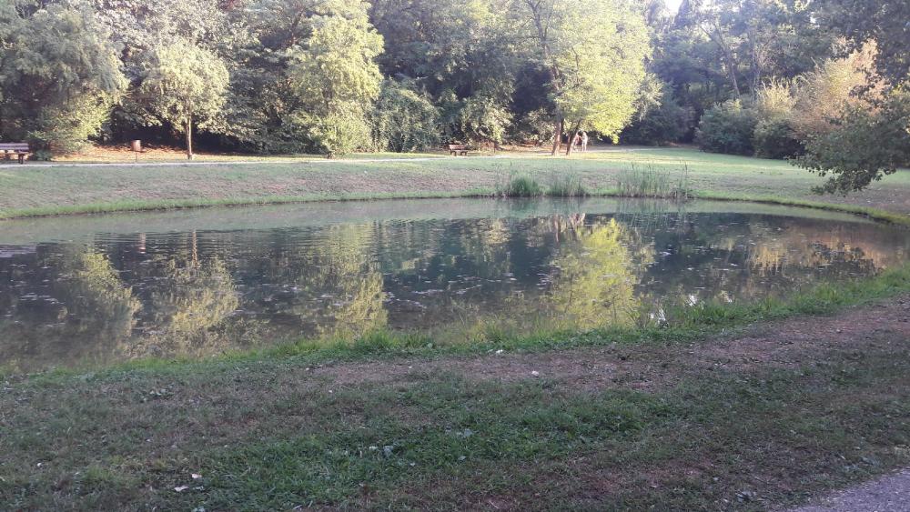 Small artificial pond wallpaper