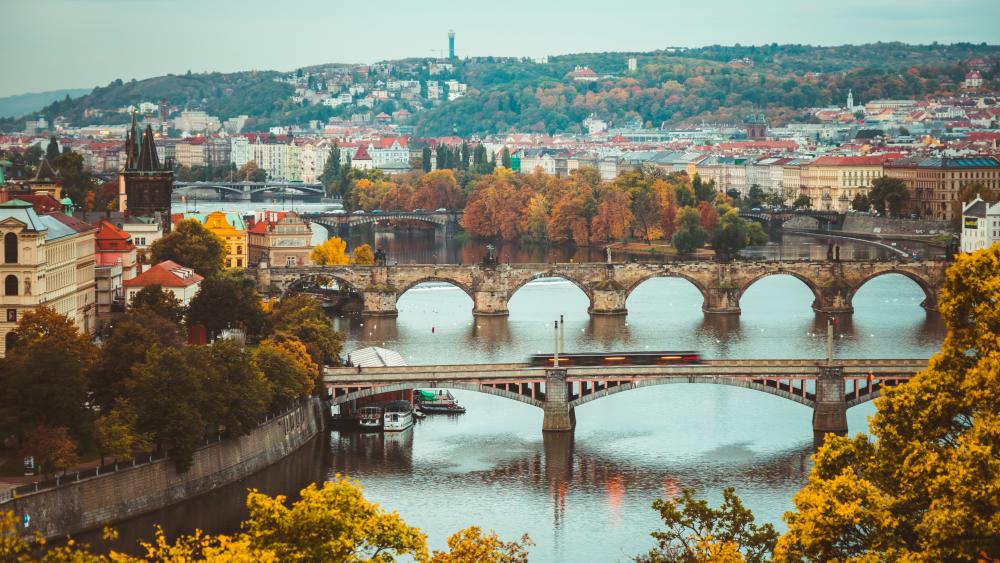 Vltava river in Prague wallpaper