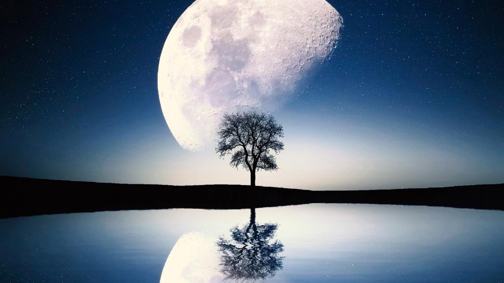 Solitary tree and moon wallpaper