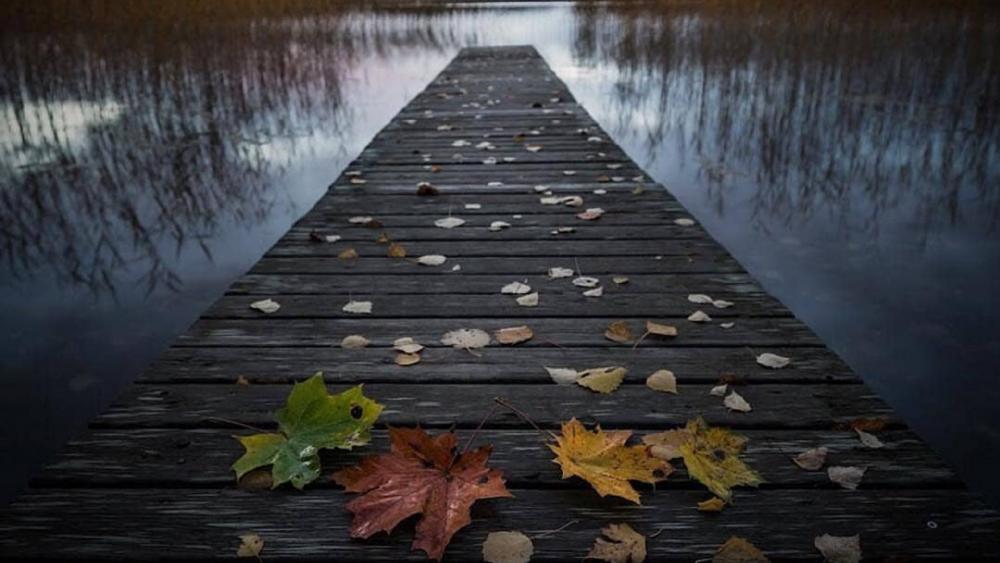 Autumn leaves on a pier wallpaper