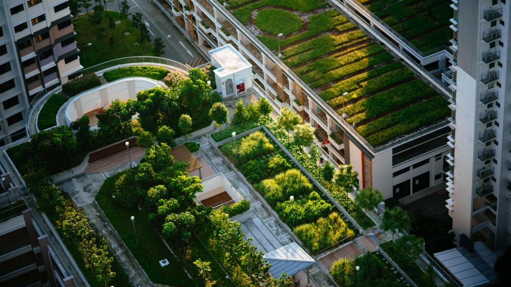 Rooftops in Singapore wallpaper