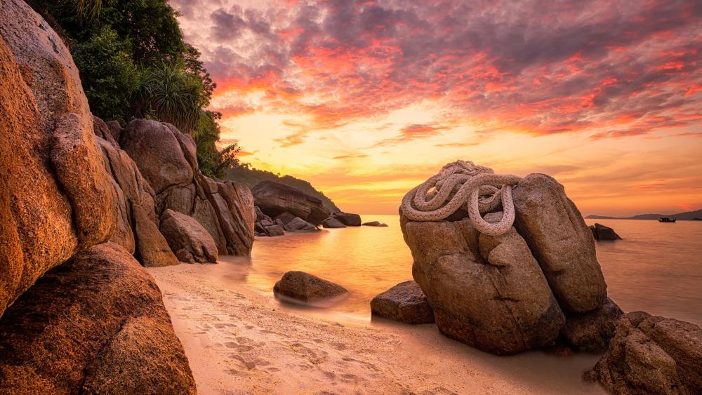 Rope on boulder at the beach wallpaper