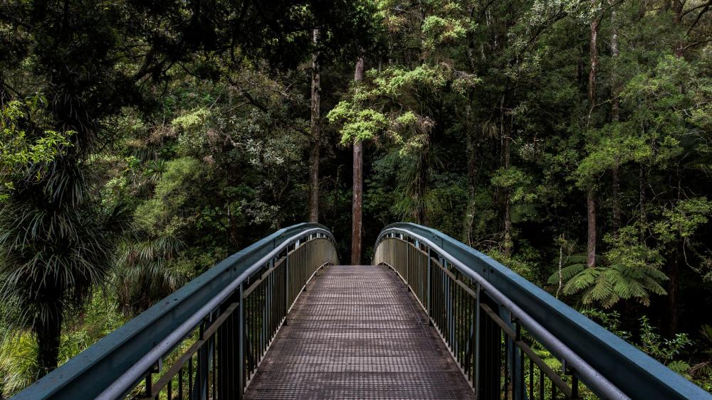 Bridge across Hatea River below Whangarei Falls wallpaper