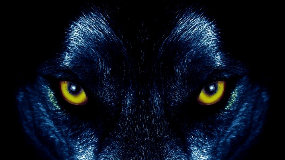 Wolf eyes wallpaper