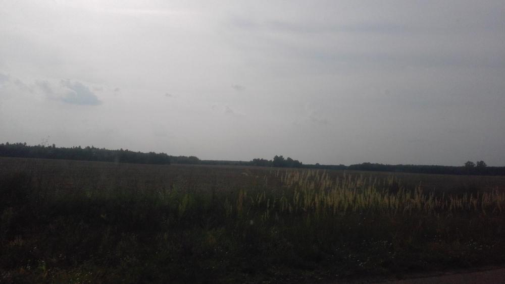 Serene Fields Under a Soft Gray Sky wallpaper
