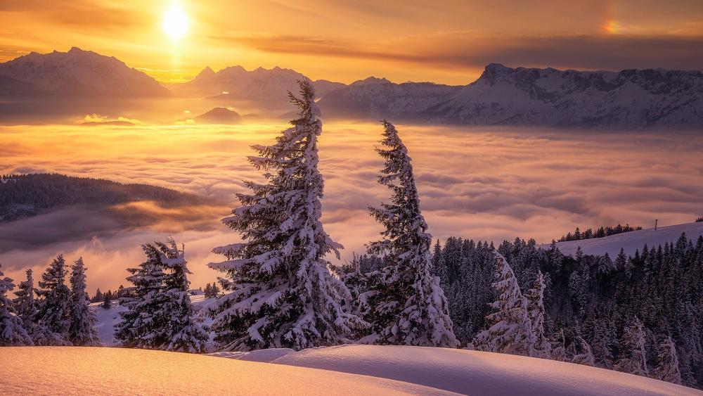 Sunset above the snowy landscape wallpaper