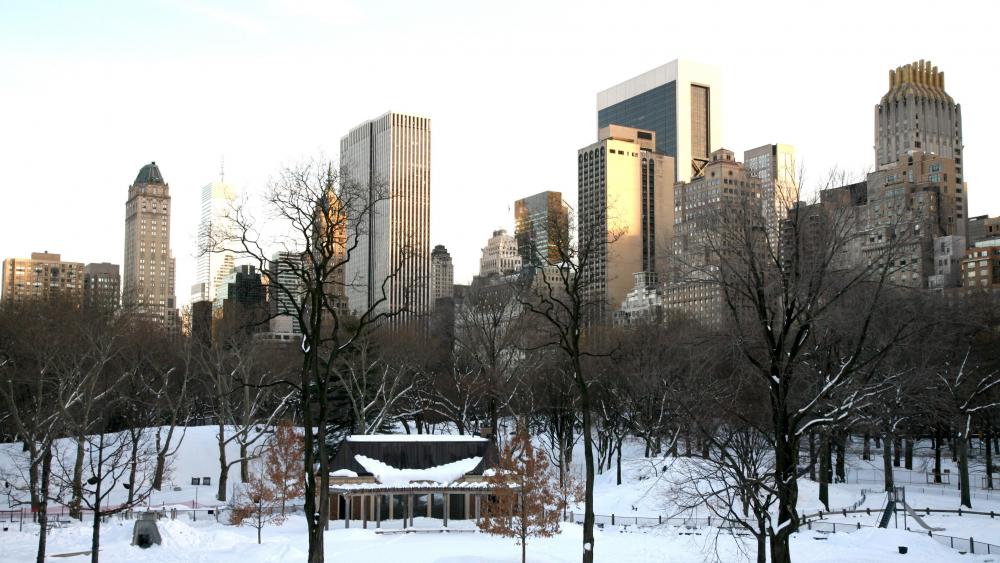 Central Park in the Winter wallpaper