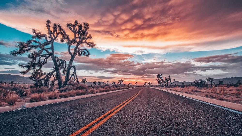 Desert road at sunset wallpaper
