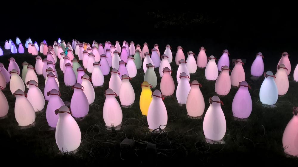 Penguins of light art wallpaper