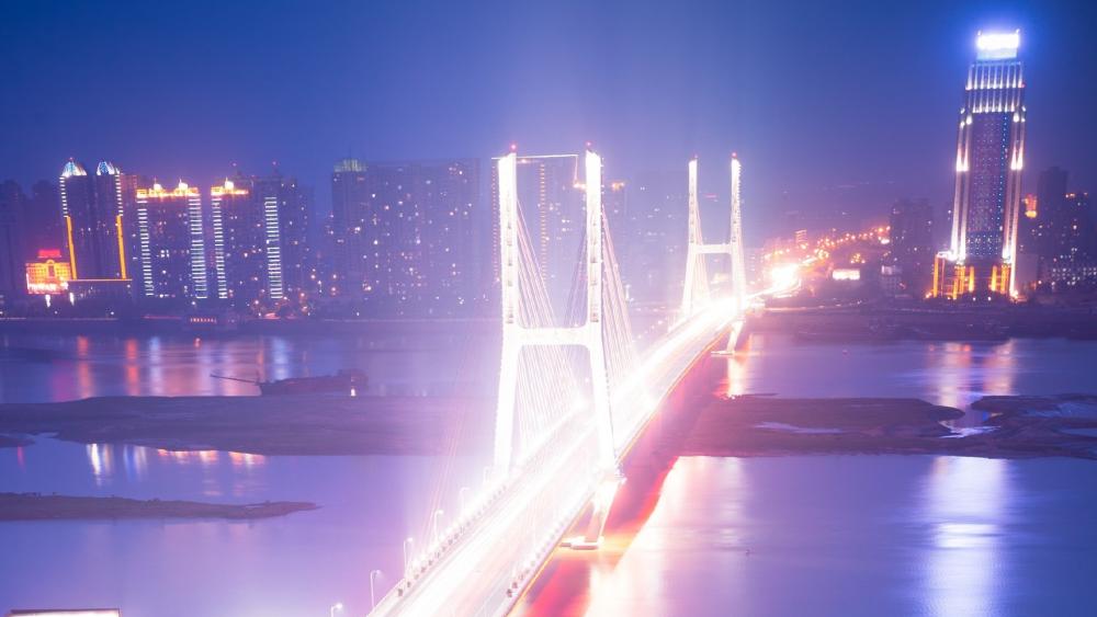 City Lights and Bridges at Night wallpaper