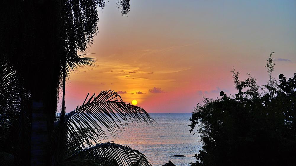 Sunset in Jamaica wallpaper