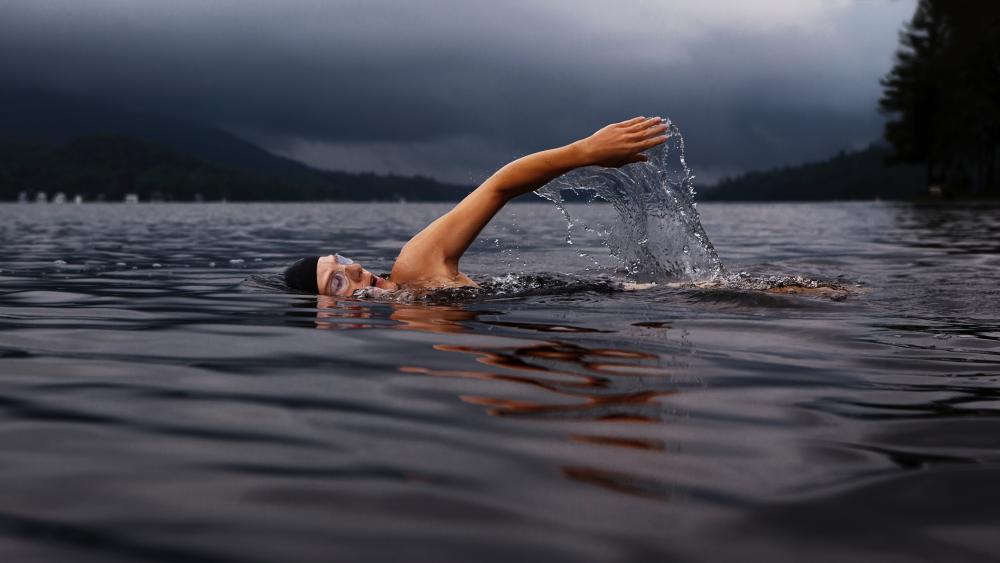 Swimming in a lake wallpaper