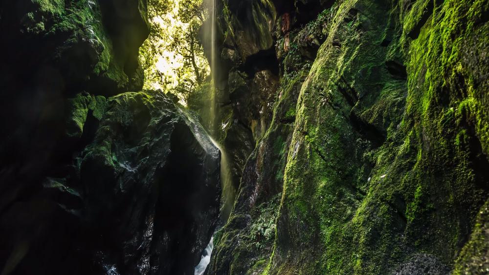 Waterfall on mossy rocks (New Zealand) wallpaper