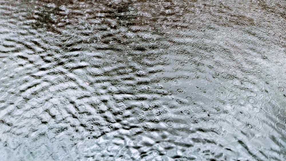 Cool rainy ripples wallpaper