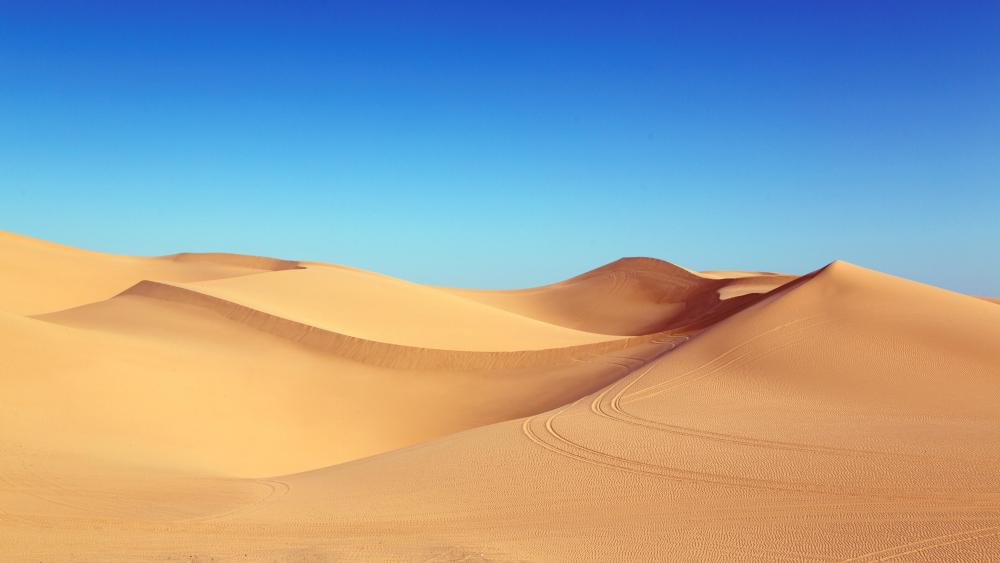 Desert dunes under the blue sky wallpaper