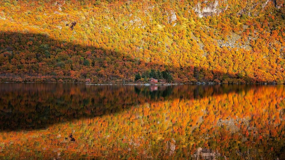Fall reflection wallpaper