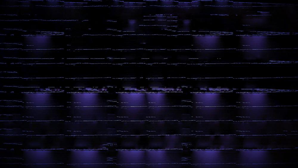 Violet wallpaper