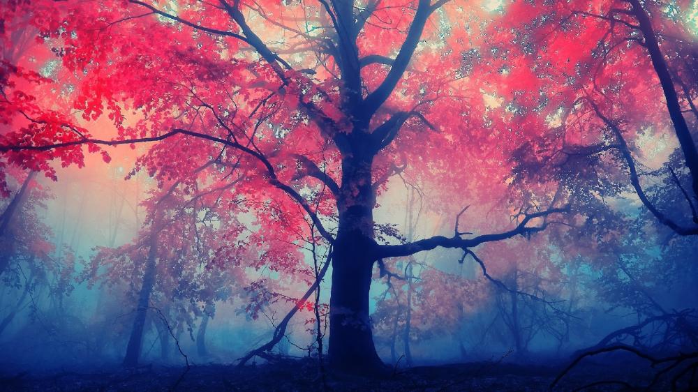 Magical red forest at fall wallpaper